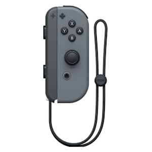 Joy-Con & Controllers - My Nintendo Store - Nintendo